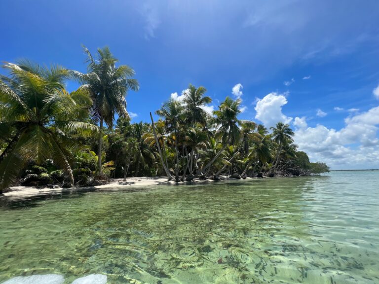 The shoreline of Ascension Bay, Mexico.