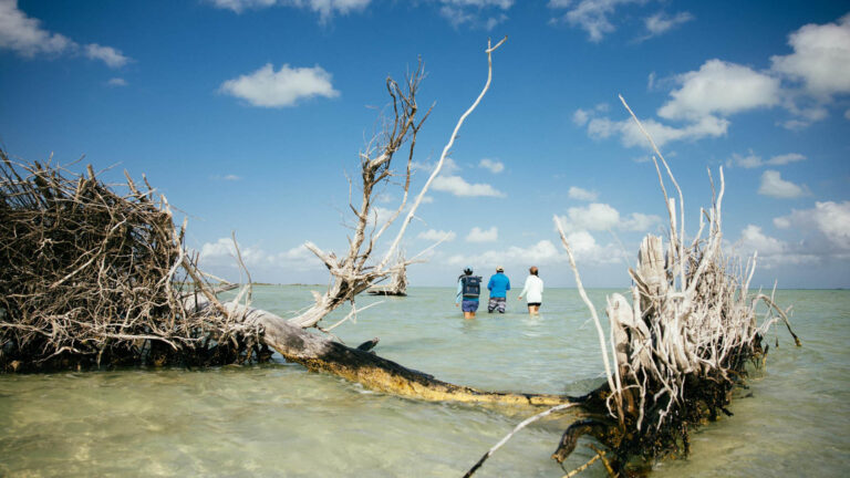 Three people inshore fly fishing in Ascension Bay, Mexico.