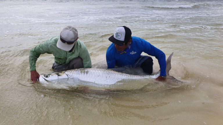 Two fly fishermen catch a tarpon in Ascension Bay, Mexico.